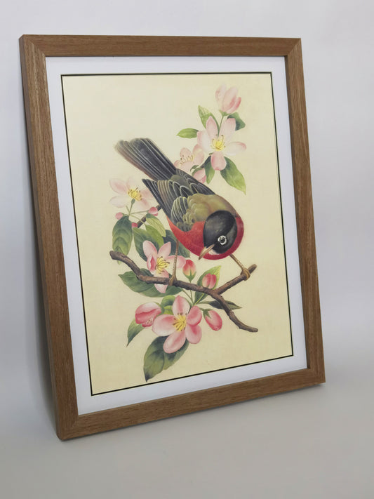 American Robin Michigan State Bird Handmade Painting Art Solid Wood Framed Poster Picture Print Artwork - Free Shipping