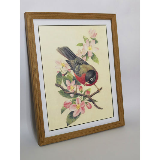 Michigan American Robin Hand-painted Art Print - Premium MATT Paper, Natural Wood Frame, Multiple Sizes & Colors, Wall & Tabletop Décor