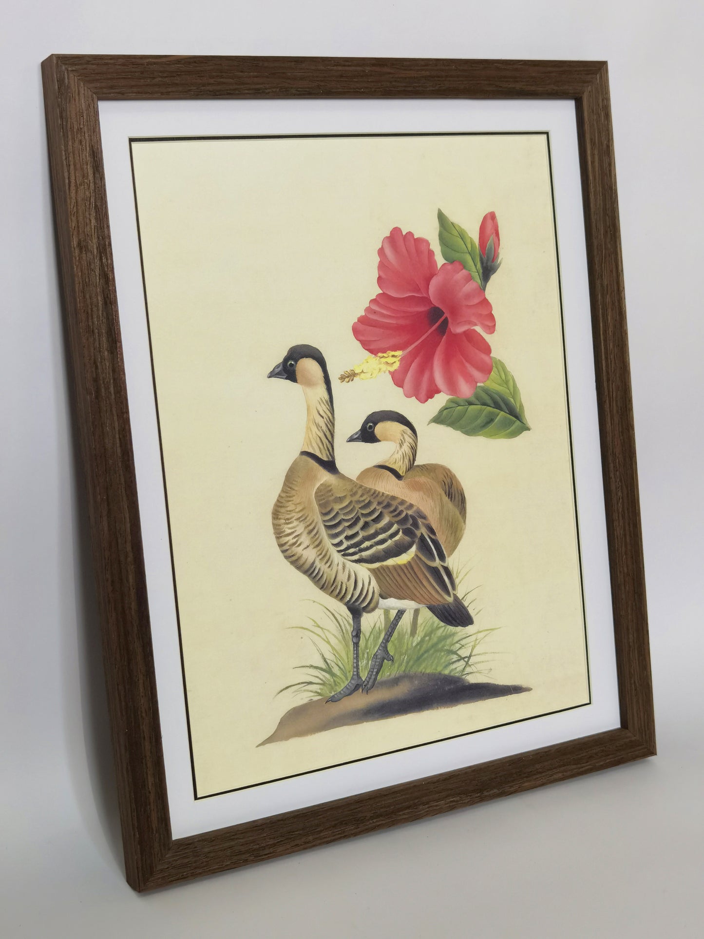 Hawaiian Goose State Bird Handmade Painting Art Solid Wood Framed Poster Picture Print Artwork - Free Shipping