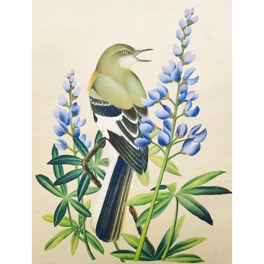 Texas Mockingbird Hand-painted Art Print - Premium MATT Paper, Natural Wood Frame, Multiple Sizes & Colors, Wall & Tabletop Décor