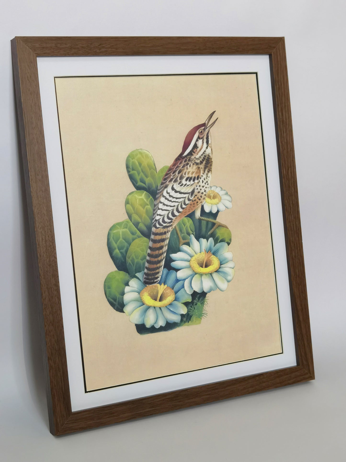 Póster enmarcado con imagen impresa, pintura hecha a mano, pájaro del estado de Arizona, cactus wren - Envío gratuito