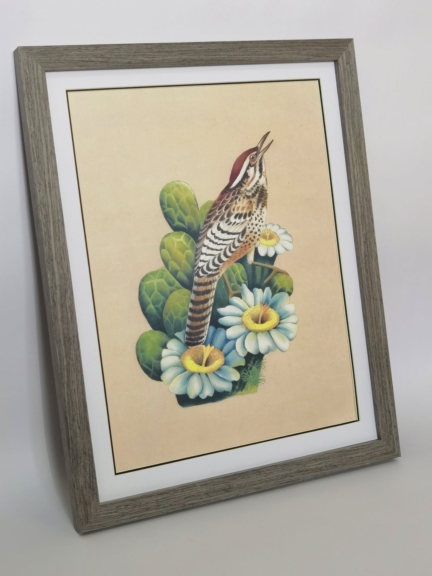 Póster enmarcado con imagen impresa, pintura hecha a mano, pájaro del estado de Arizona, cactus wren - Envío gratuito