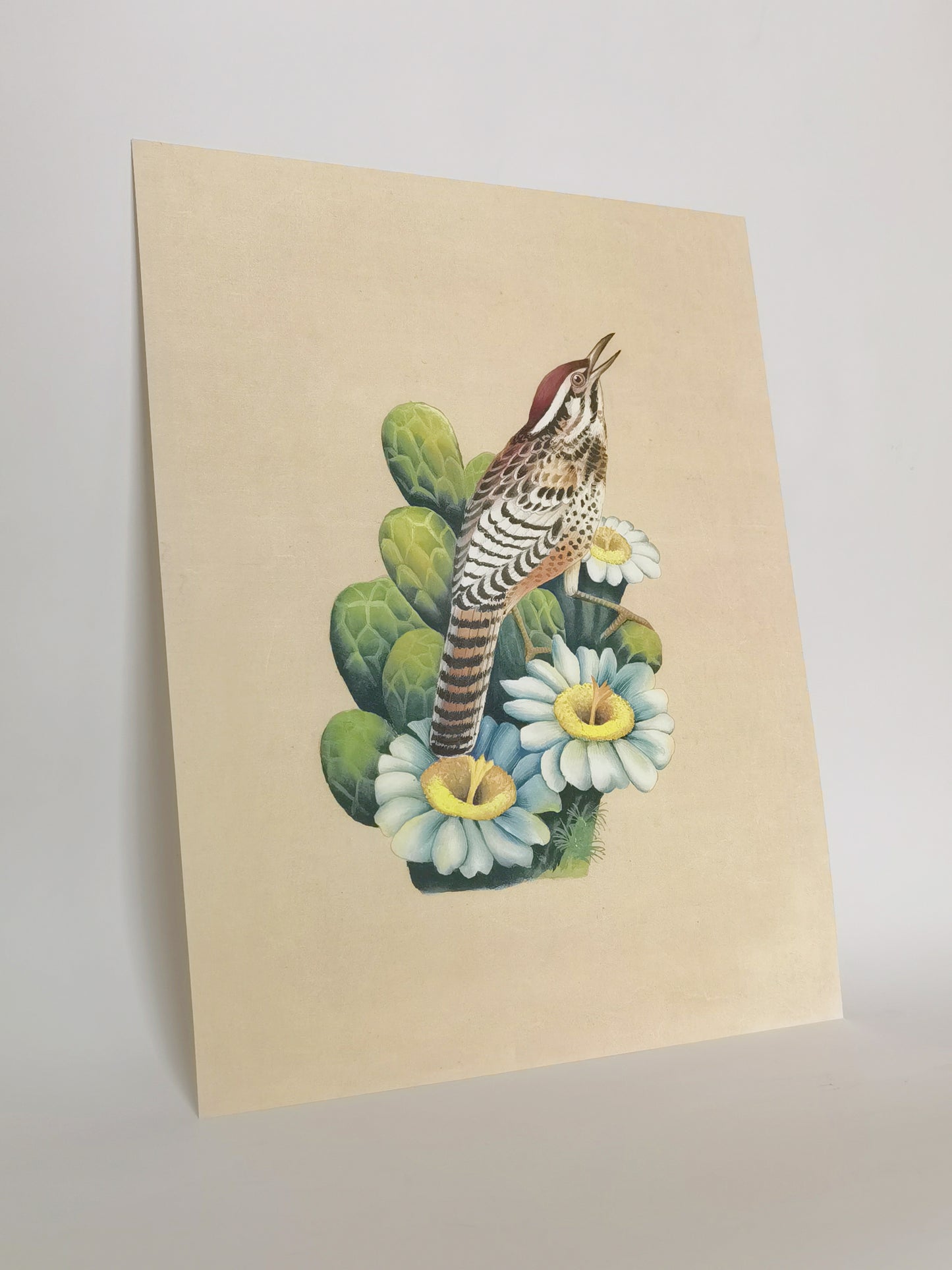 Póster enmarcado con imagen impresa, pintura hecha a mano, pájaro del estado de Arizona, cactus wren - Envío gratuito