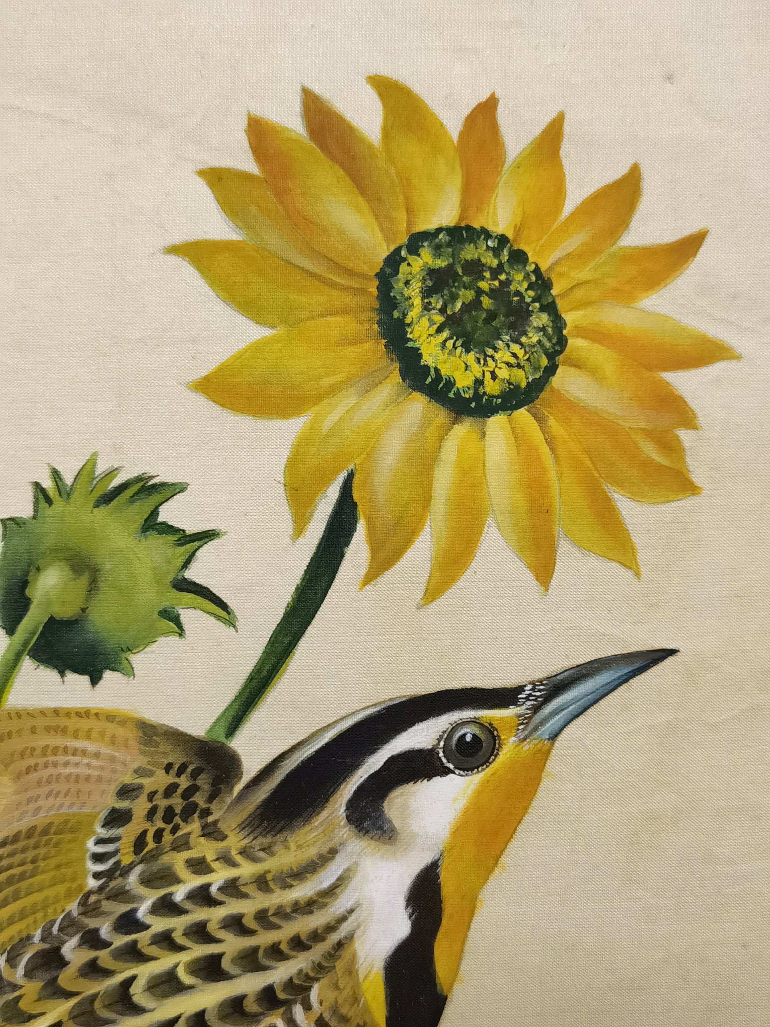 Western Meadowlark State Bird Handmade Art Printing Kansas Sunflower with Wood Frame