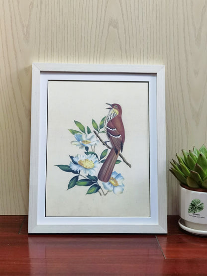 Brown Thrasher Georgia State Bird Handmade Painting Art Solid Wood Framed Poster Picture Print Artwork