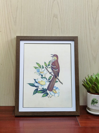 Brown Thrasher Georgia State Bird Handmade Painting Art Solid Wood Framed Poster Picture Print Artwork