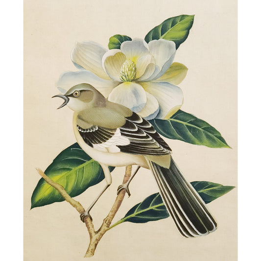 Mississippi Mockingbird Hand-painted Art Print - Premium MATT Paper, Natural Wood Frame, Wall &amp; Tabletop Décor, Multiple Sizes & Colors Available