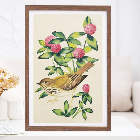 Hermit Thrush State Bird Handmade Art Printing Vermont Red Clover with Wood Frame