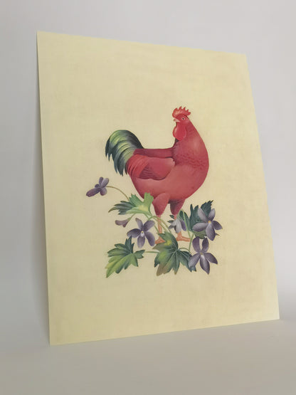 Grand Red Rooster Rhode Island Handmade Painting Art Solid Wood Framed Poster Picture Print Artwork