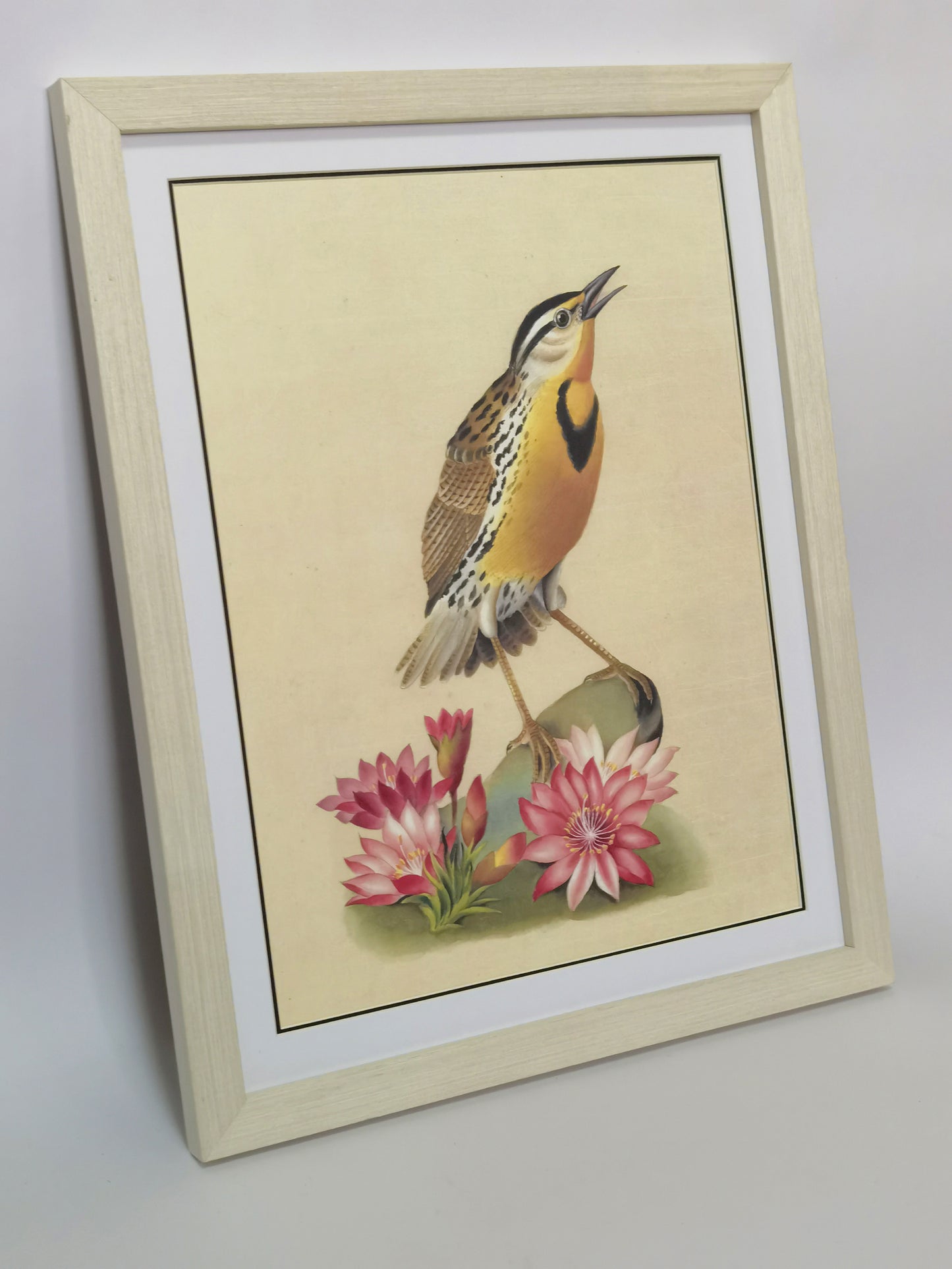 Western Meadowlark Montana Bird Handmade Painting Art Solid Wood Framed Poster Picture Print Artwork- Free Shipping