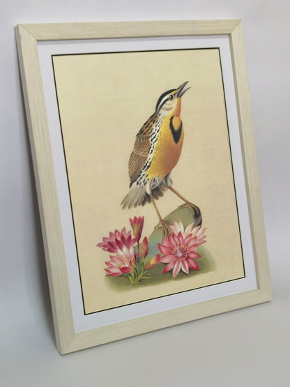 Western Meadowlark Montana Bird Handmade Painting Art Solid Wood Framed Poster Picture Print Artwork