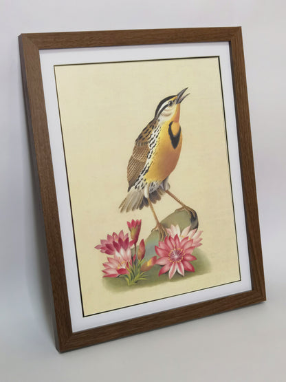 Western Meadowlark Montana Bird Handmade Painting Art Solid Wood Framed Poster Picture Print Artwork