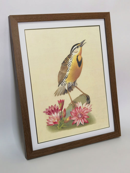 Western Meadowlark Montana Bird Handmade Painting Art Solid Wood Framed Poster Picture Print Artwork- Free Shipping