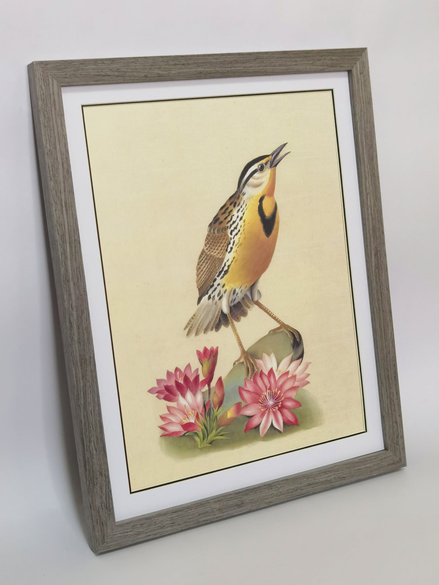 Western Meadowlark Montana Bird Handmade Painting Art Solid Wood Framed Poster Picture Print Artwork- Free Shipping