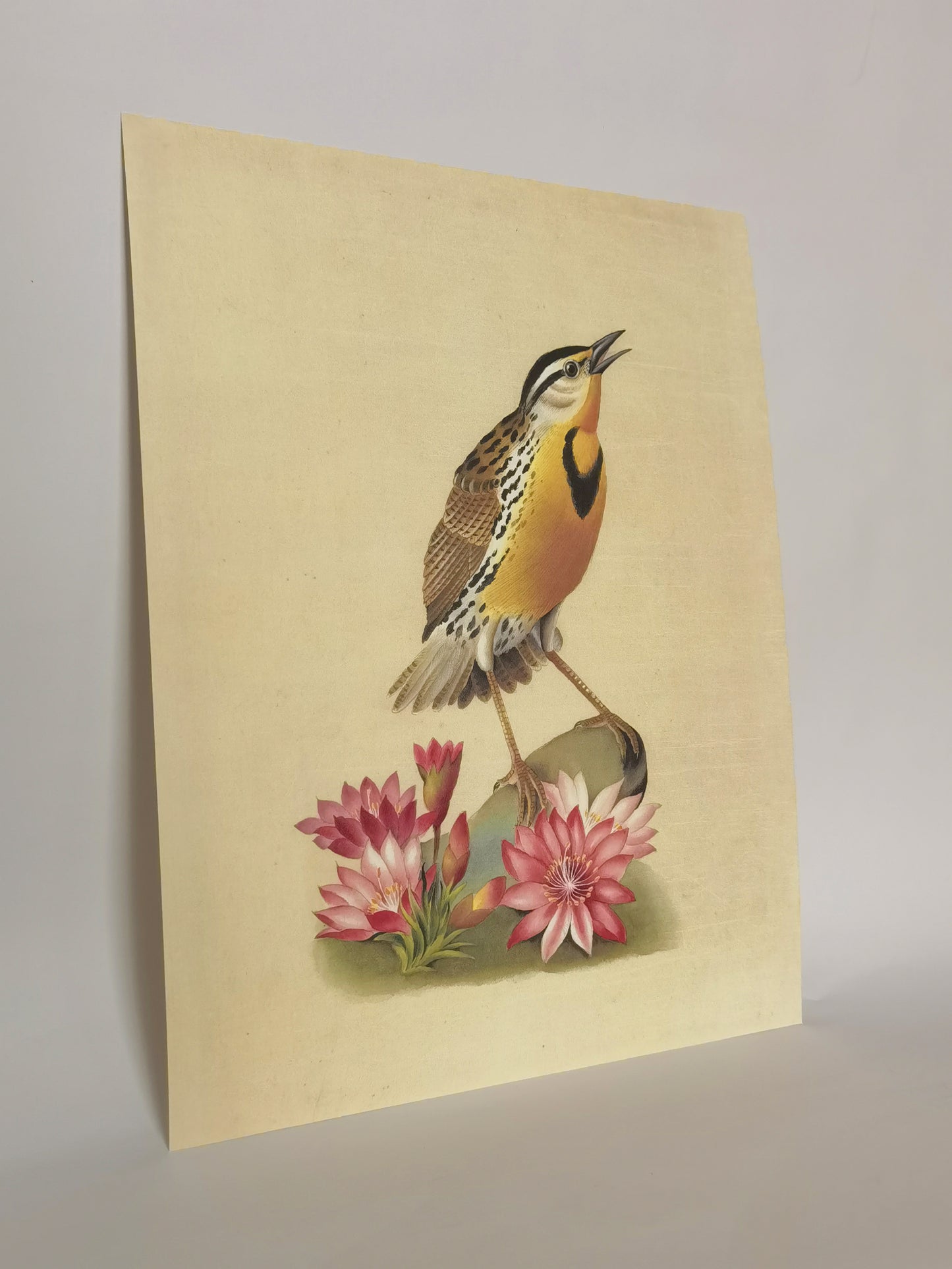 Western Meadowlark Montana Bird Handmade Painting Art Solid Wood Framed Poster Picture Print Artwork- Free Shipping