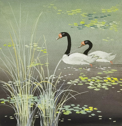 Black-necked Swan Vividland Handmade Art Printing Reed Duckweed Pond with Wood Frame