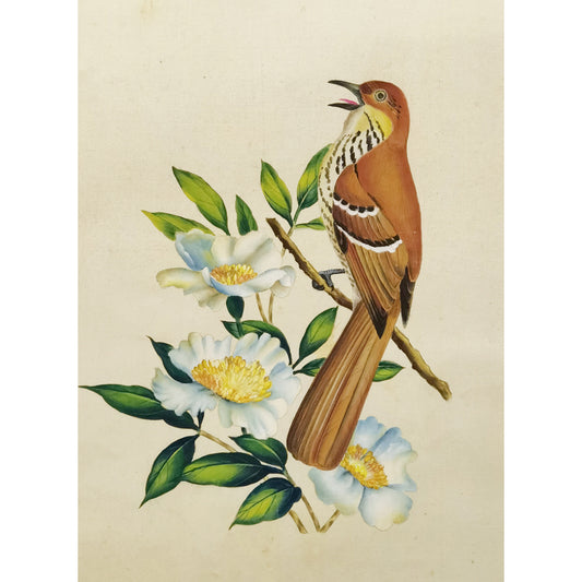 Georgia Brown Thrasher Hand-painted Art Print - Premium MATT Paper, Natural Wood Frame, Wall & Tabletop Décor, Multiple Sizes & Colors