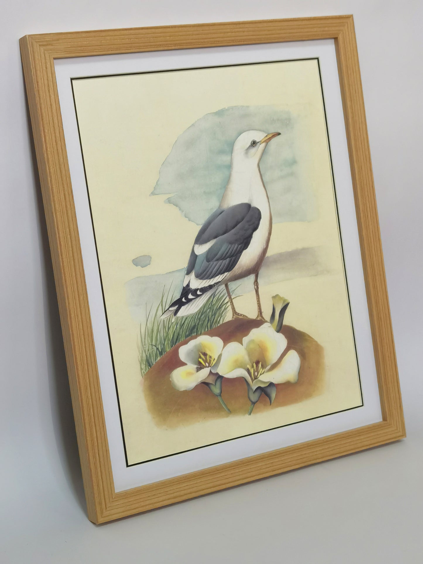 Póster enmarcado con imagen impresa hecha a mano, pintura artística, pájaro del estado de Utah, gaviota común, envío gratuito