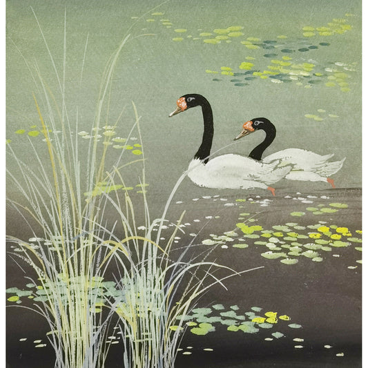 Hand-painted Black-necked Swans in Reed Bed Artwork – Watercolor Technique, Premium MATT Paper, Natural Wood Frame, Multiple Sizes & Colors