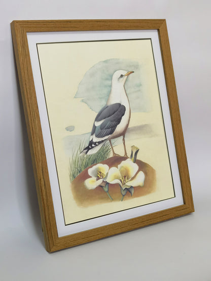 Common Gull Utah State Bird Handmade Painting Art Solid Wood Framed Poster Picture Print Artwork