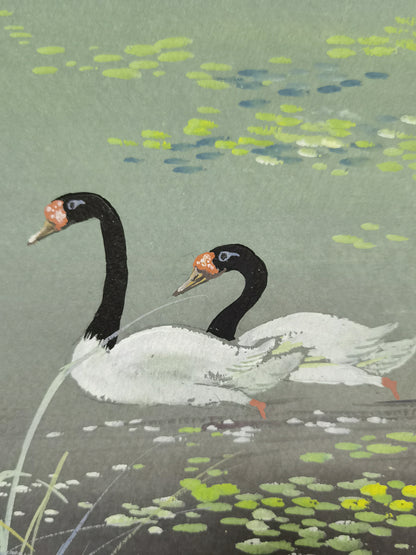 Black-necked Swan Vividland Handmade Art Printing Reed Duckweed Pond with Wood Frame