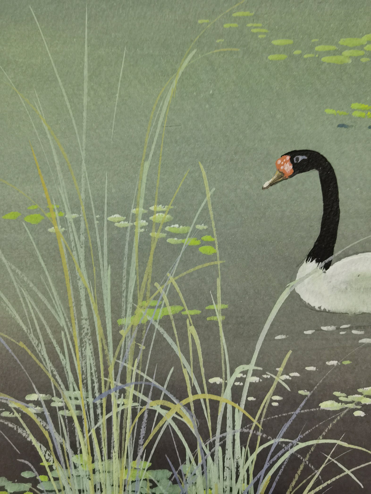 Black-necked Swan Vividland Handmade Art Printing Reed Duckweed Pond with Wood Frame