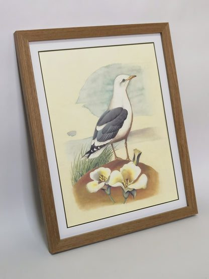 Common Gull Utah State Bird Handmade Painting Art Solid Wood Framed Poster Picture Print Artwork