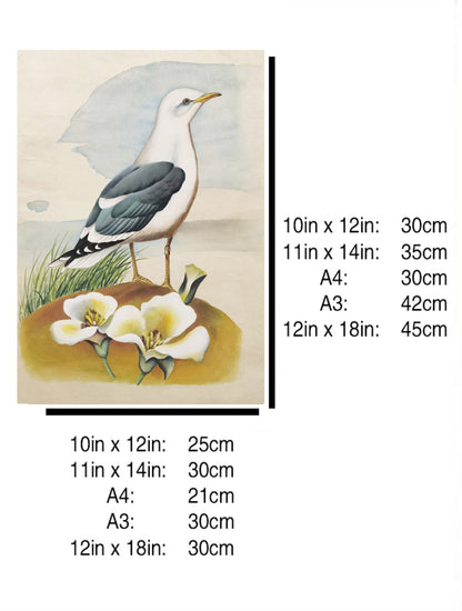 Common Gull Utah State Bird Handmade Painting Art Solid Wood Framed Poster Picture Print Artwork