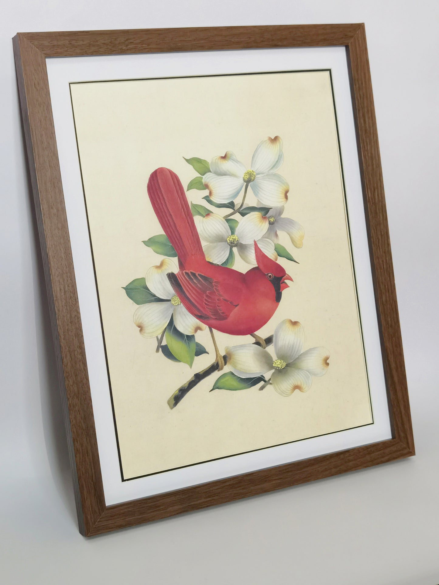 Cardinal Virginia State Bird Handmade Painting Art Solid Wood Framed Poster Picture Print Artwork - Free Shipping