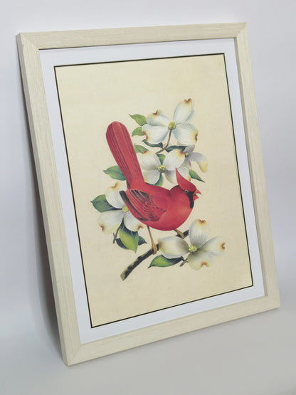 Cardinal Virginia State Bird Handmade Painting Art Solid Wood Framed Poster Picture Print Artwork