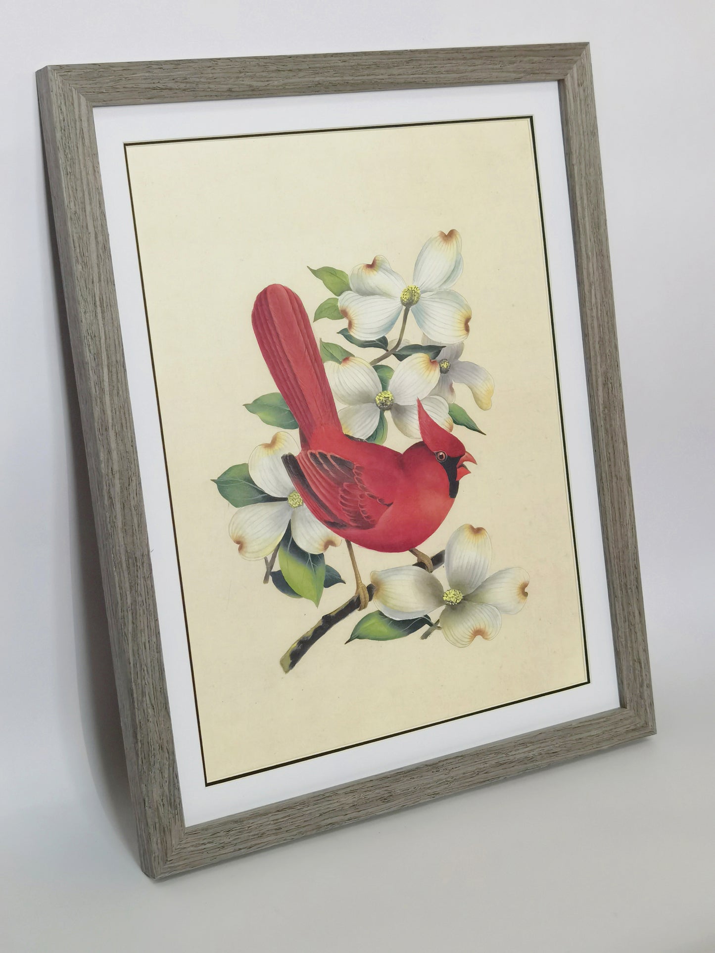 Cardinal Virginia State Bird Handmade Painting Art Solid Wood Framed Poster Picture Print Artwork - Free Shipping