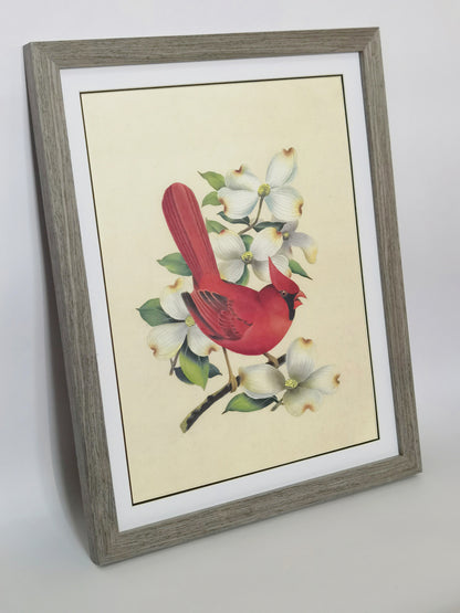 Cardinal Virginia State Bird Handmade Painting Art Solid Wood Framed Poster Picture Print Artwork