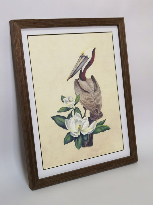 Eastern Brown Pelican Louisiana State Bird Handmade Painting Art Solid Wood Framed Poster Picture Print Artwork - Free Shipping