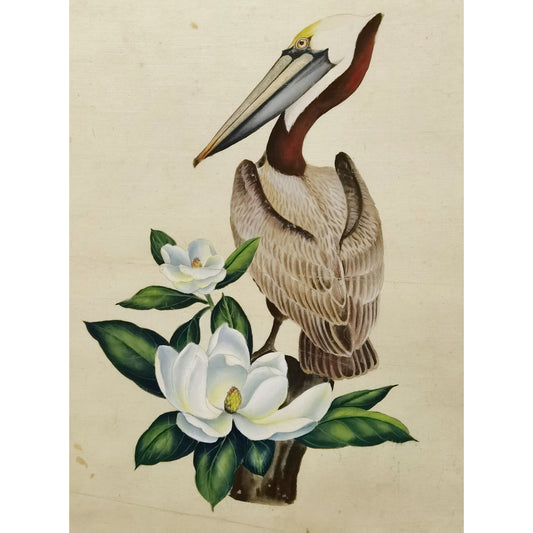 Louisiana Brown Pelican Hand-painted Art Print - Premium MATT Paper, Natural Wood Frame, Wall &amp; Tabletop Décor, Multiple Sizes & Colors