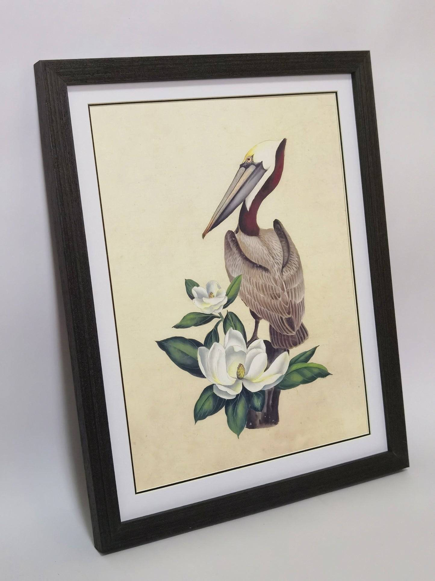 Östlicher Braunpelikan, Staatsvogel von Louisiana, handgefertigtes Gemälde, gerahmtes Poster, Bild, Druck, Kunstwerk – kostenloser Versand