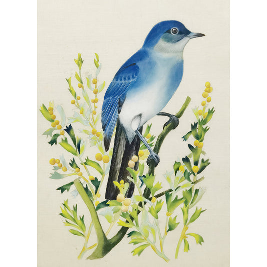 Nevada Mountain Bluebird Hand-painted Art Print - Premium MATT Paper, Natural Wood Frame, Wall & Tabletop Décor, Multiple Sizes & Colors