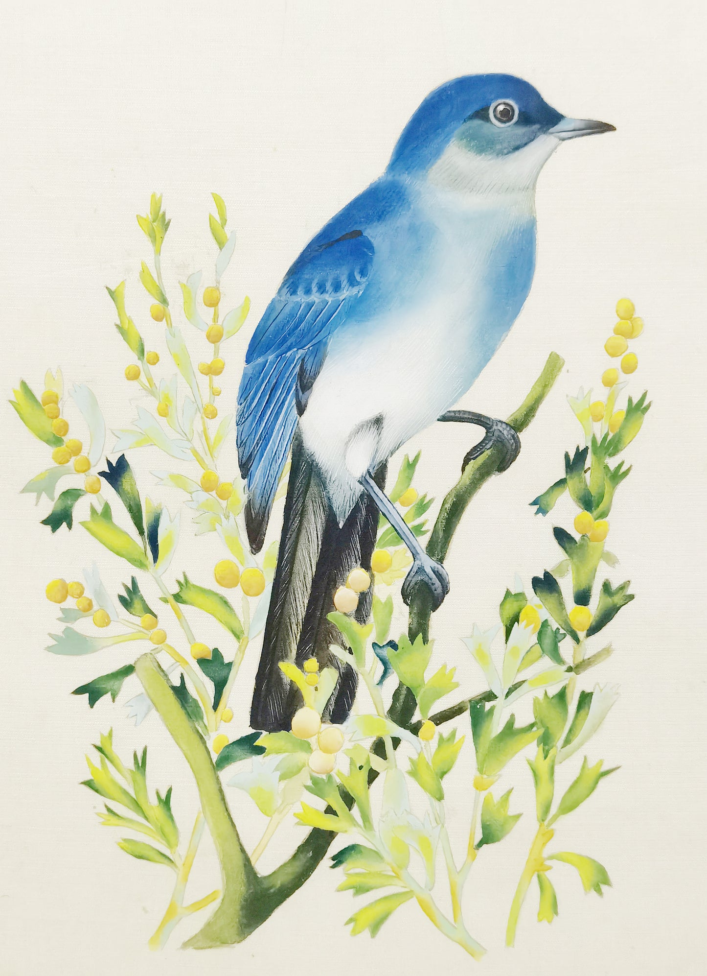 Póster con imagen impresa y pintura hecha a mano de Mountain Bluebird Nevada enmarcada - Envío gratuito