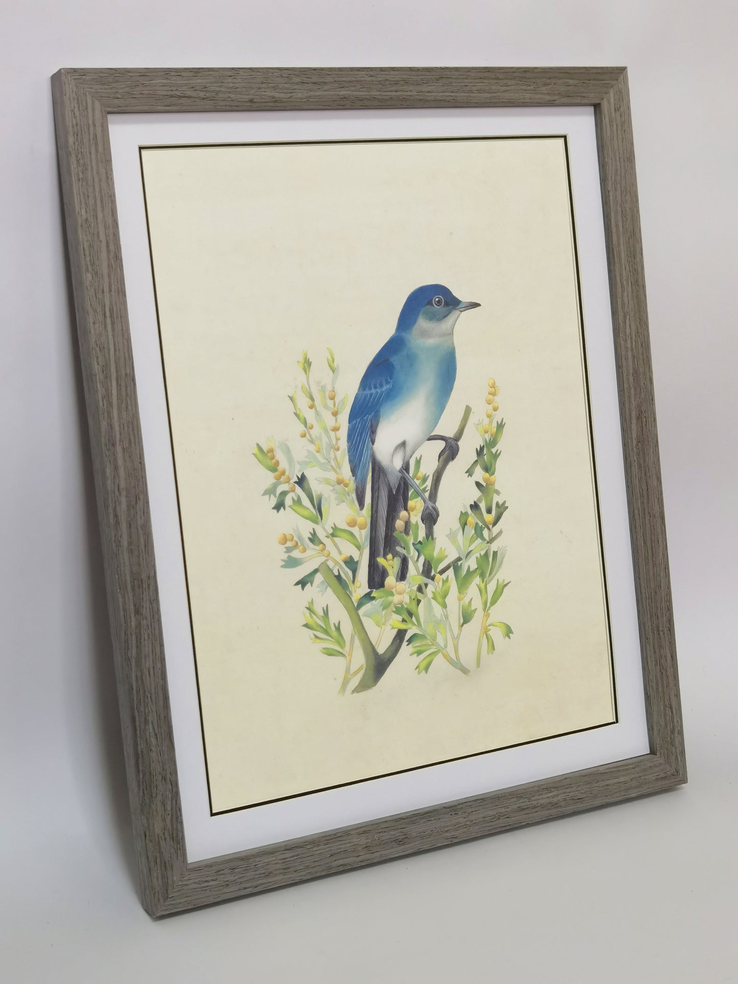 Póster con imagen impresa y pintura hecha a mano de Mountain Bluebird Nevada enmarcada - Envío gratuito