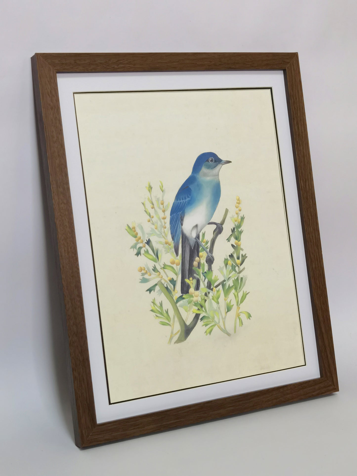 Póster con imagen impresa y pintura hecha a mano de Mountain Bluebird Nevada enmarcada - Envío gratuito