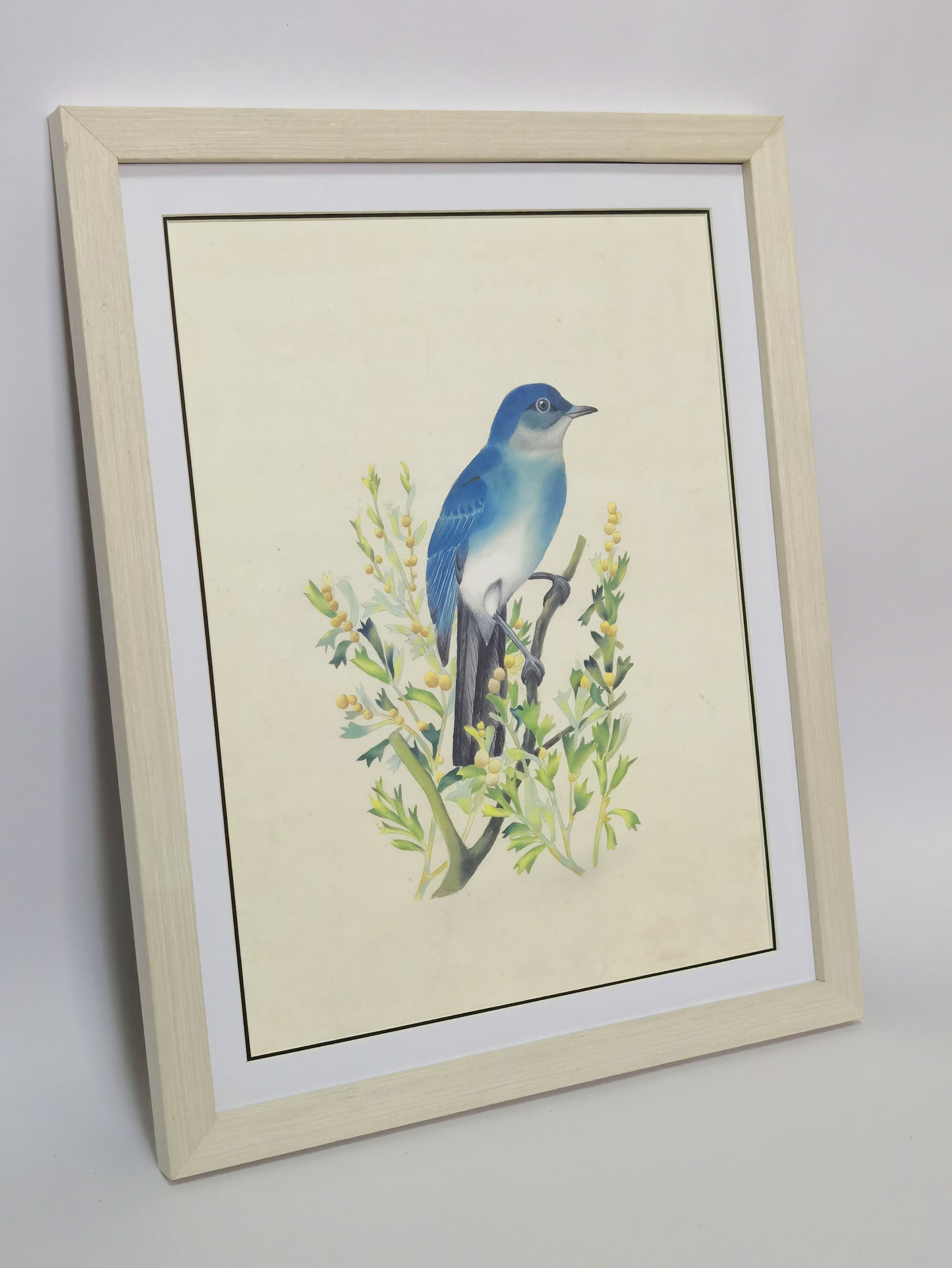 Póster con imagen impresa y pintura hecha a mano de Mountain Bluebird Nevada enmarcada - Envío gratuito