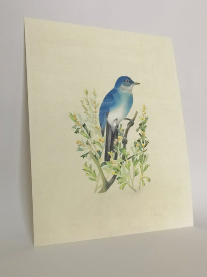 Mountain Bluebird Nevada Handmade Painting Art Solid Wood Framed Poster Picture Print Artwork