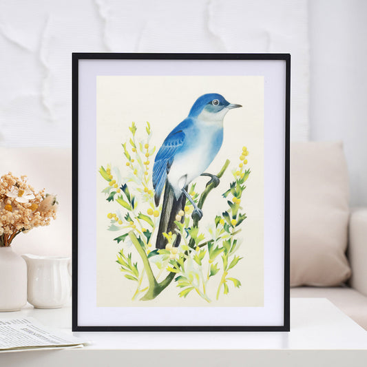 Mountain BlueBird Nevada State Bird Handmade Art Print with Wooden Frame