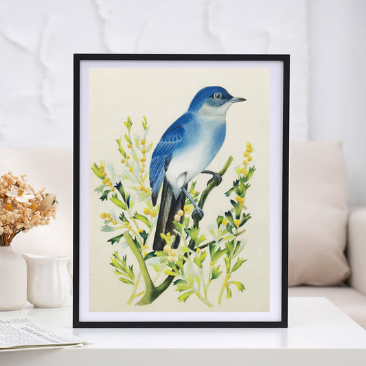 Mountain BlueBird Nevada State Bird Handmade Art Print with Wooden Frame