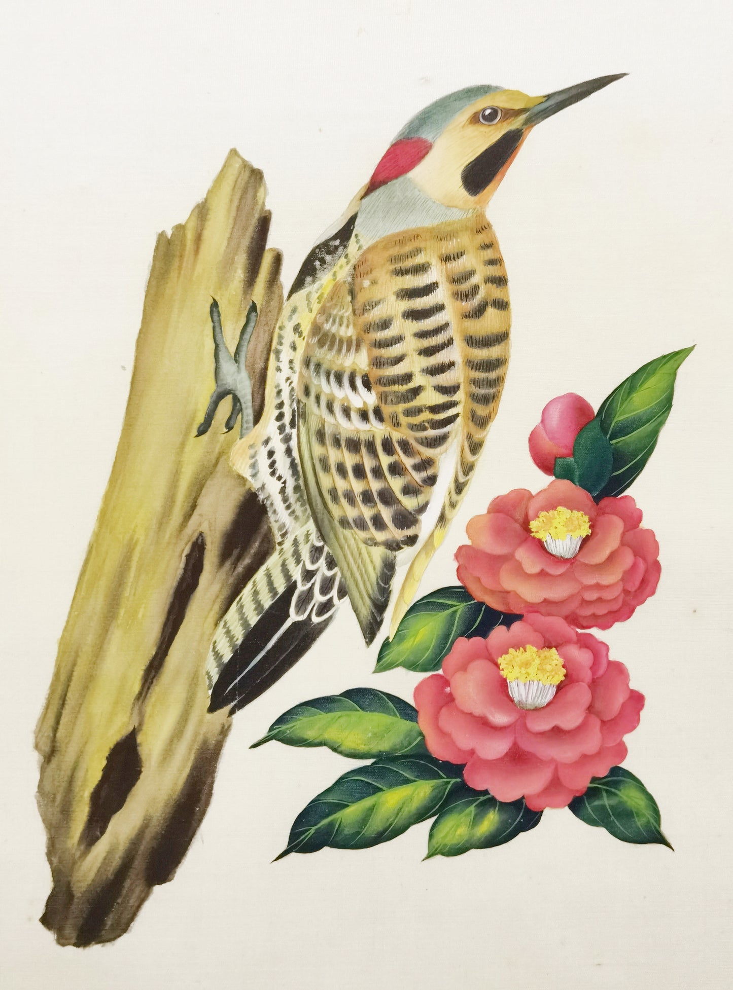 Póster con imagen impresa enmarcada, pintura hecha a mano, pájaro estatal de Alabama, martillo amarillo - Envío gratuito