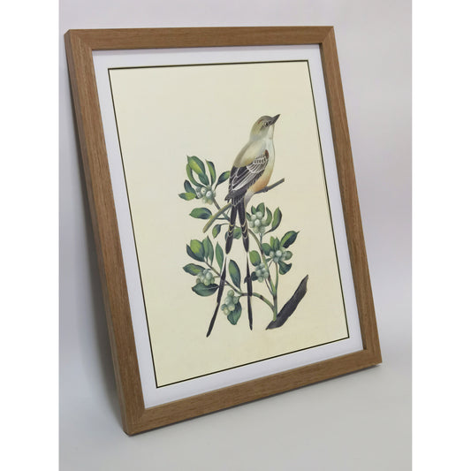 Oklahoma Scissor-tailed Flycatcher Hand-painted Art Print - Premium MATT Paper, Natural Wood Frame, Wall & Tabletop Décor, Multiple Sizes & Colors