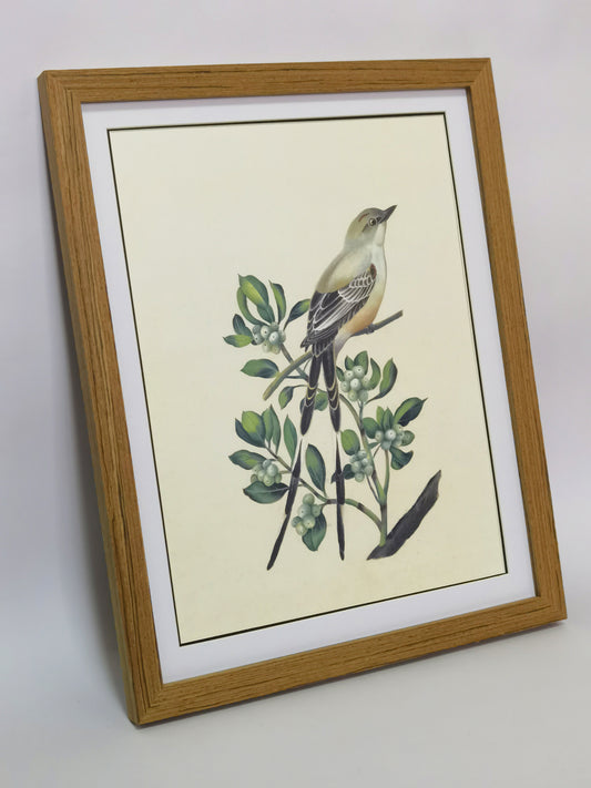 Scissor-Tailed Flycatcher Oklahoma State Bird Handmade Painting Art Solid Wood Framed Poster Picture Print Artwork - Free Shipping