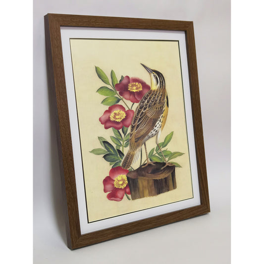 North Dakota Western Meadowlark Hand-painted Art Print - Premium MATT Paper, Natural Wood Frame, Multiple Sizes & Colors, Wall & Tabletop Décor