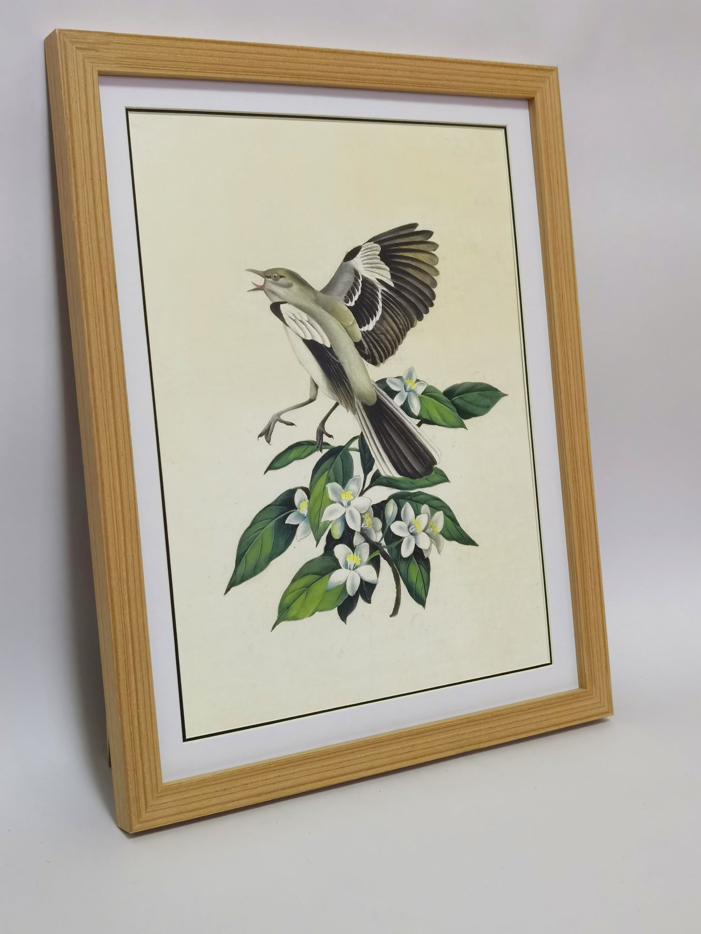 Mockingbird Florida State Bird Handmade Painting Art Solid Wood Framed Poster Picture Print Artwork - Free Shipping