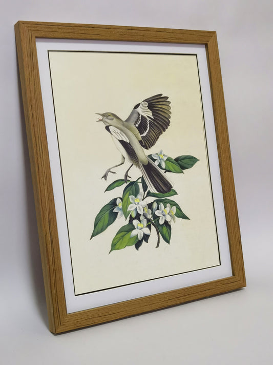 Mockingbird Florida State Bird Handmade Painting Art Solid Wood Framed Poster Picture Print Artwork - Free Shipping