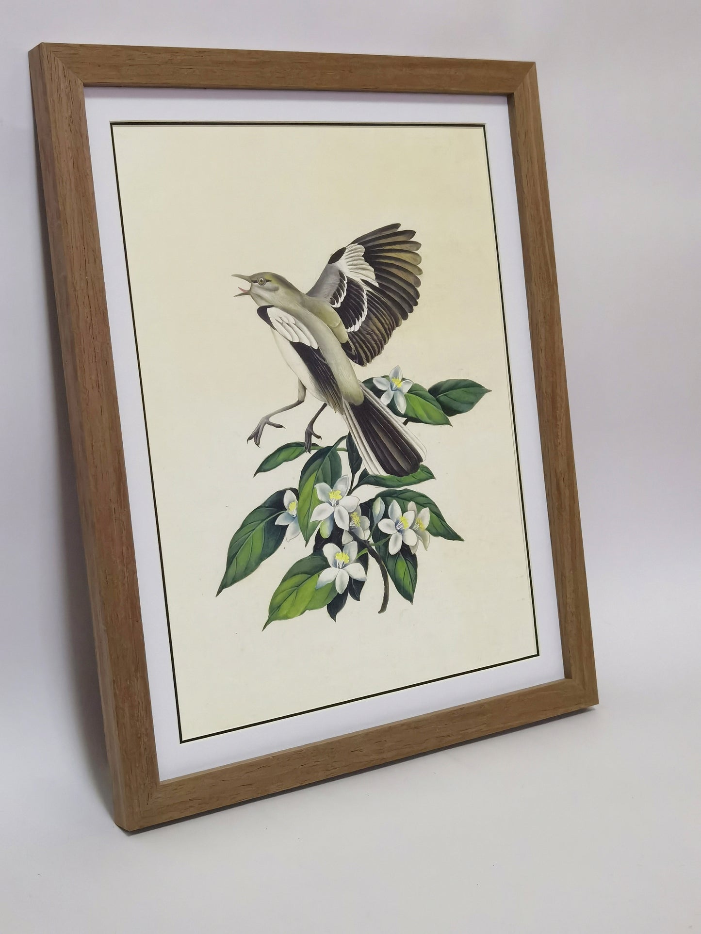 Mockingbird Florida State Bird Handmade Painting Art Solid Wood Framed Poster Picture Print Artwork - Free Shipping